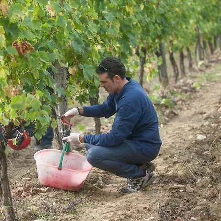 La Valletta Boutique Wine Estate Отель типа 