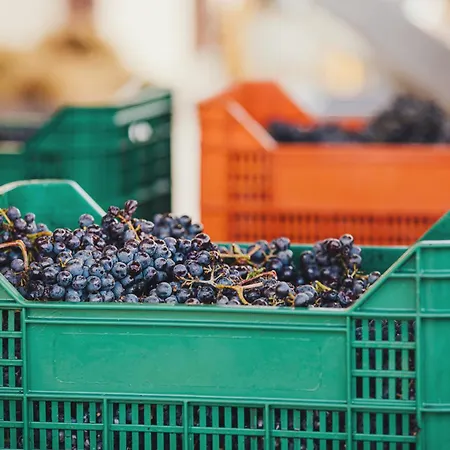 La Valletta Boutique Wine Estate 4*