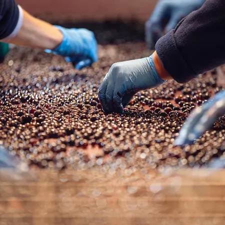 La Valletta Boutique Wine Estate Panzano in Chianti