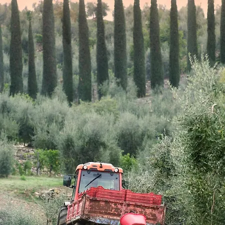 La Valletta Boutique Wine Estate Panzano in Chianti