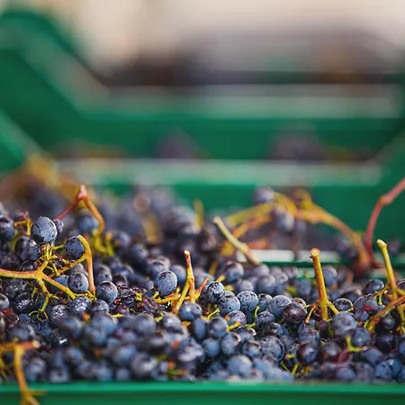 Bed & Breakfast La Valletta Boutique Wine Estate Panzano in Chianti