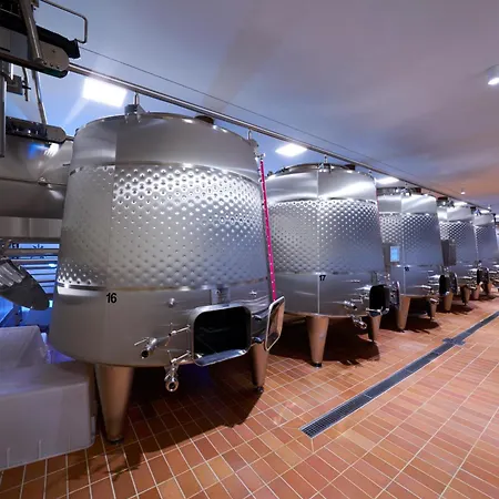 Bed & Breakfast La Valletta Boutique Wine Estate *